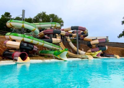 Snake Pit